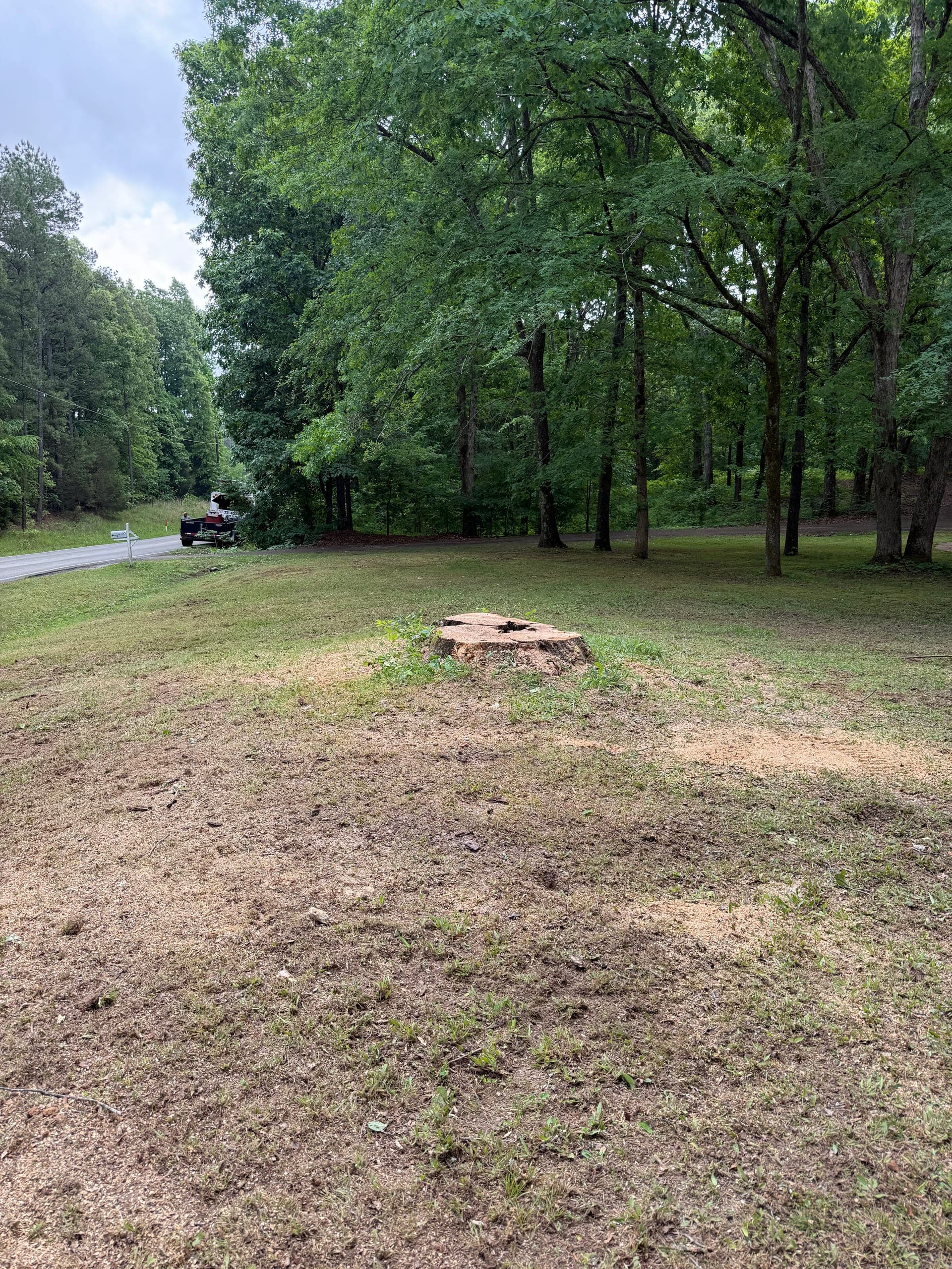 Tennessee property after Taylors Tree Service finished a tree removal and yard cleanup