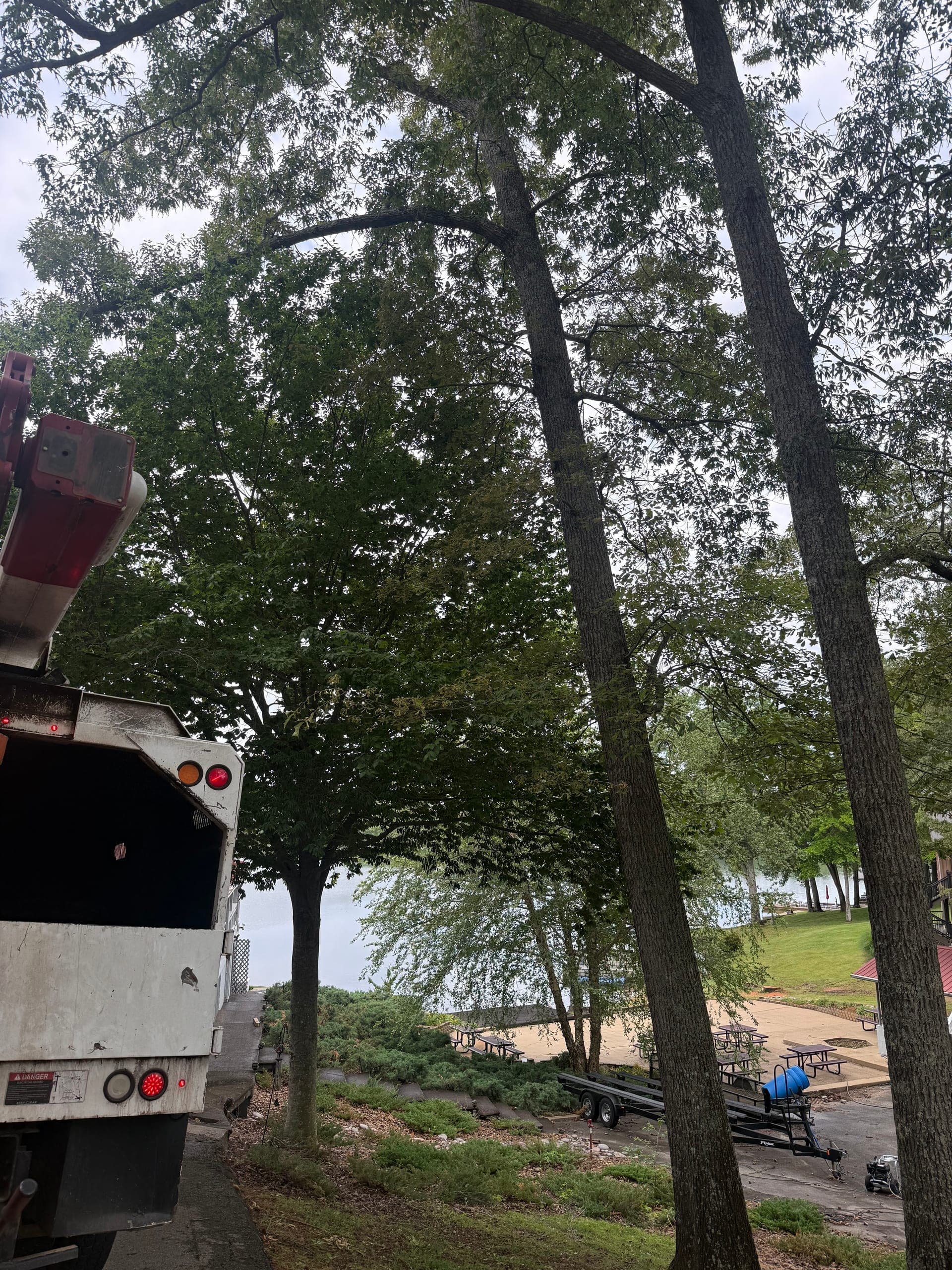 Taylors Tree Service truck on a Jackson, TN residential street with mature trees